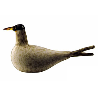 Arctic Tern 2000　アニュアル　イッタラ　バード　オイバ